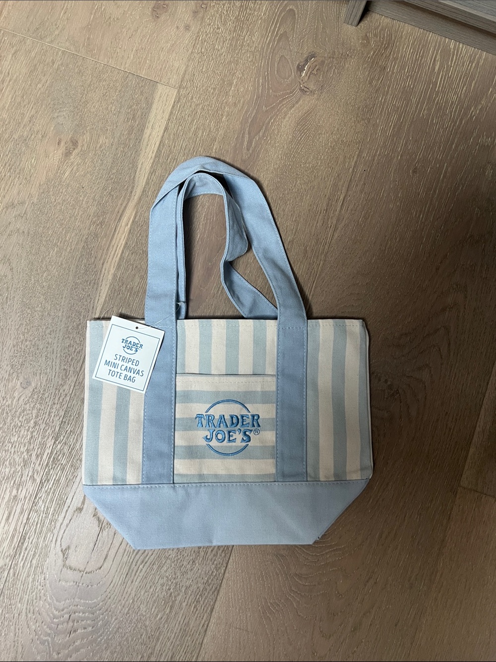 Trader Joe's Striped Mini Canvas Tote Bag - Light Blue & Cream